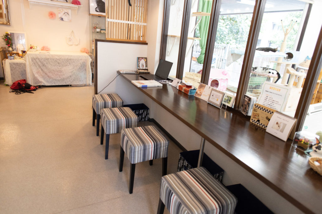 ねことぼく Jp ねことぼく Jp